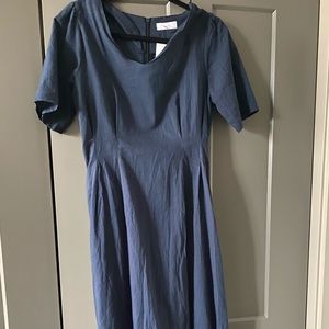 Beautiful cinched waist, a line navy dress.